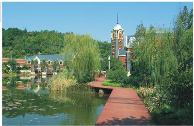 長(zhǎng)(zhang)沙(sha)·龍灣(wan)國(guó)際社(she)區(qū)(qu)項(xiàng)目二期(qi)會(huì)所(suo)山(shan)體(ti)綠化(hua)工(gong)程