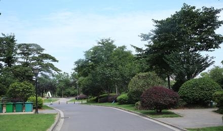 長沙(sha)·碧(bi)桂園威(wei)尼斯(si)城