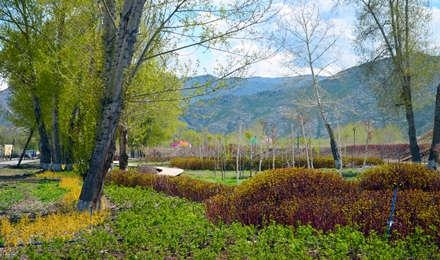 新(xin)疆·可(ke)可(ke)託(tuo)海(hai)風(feng)景(jing)區(qū)俄式(shi)景(jing)觀工程(cheng)