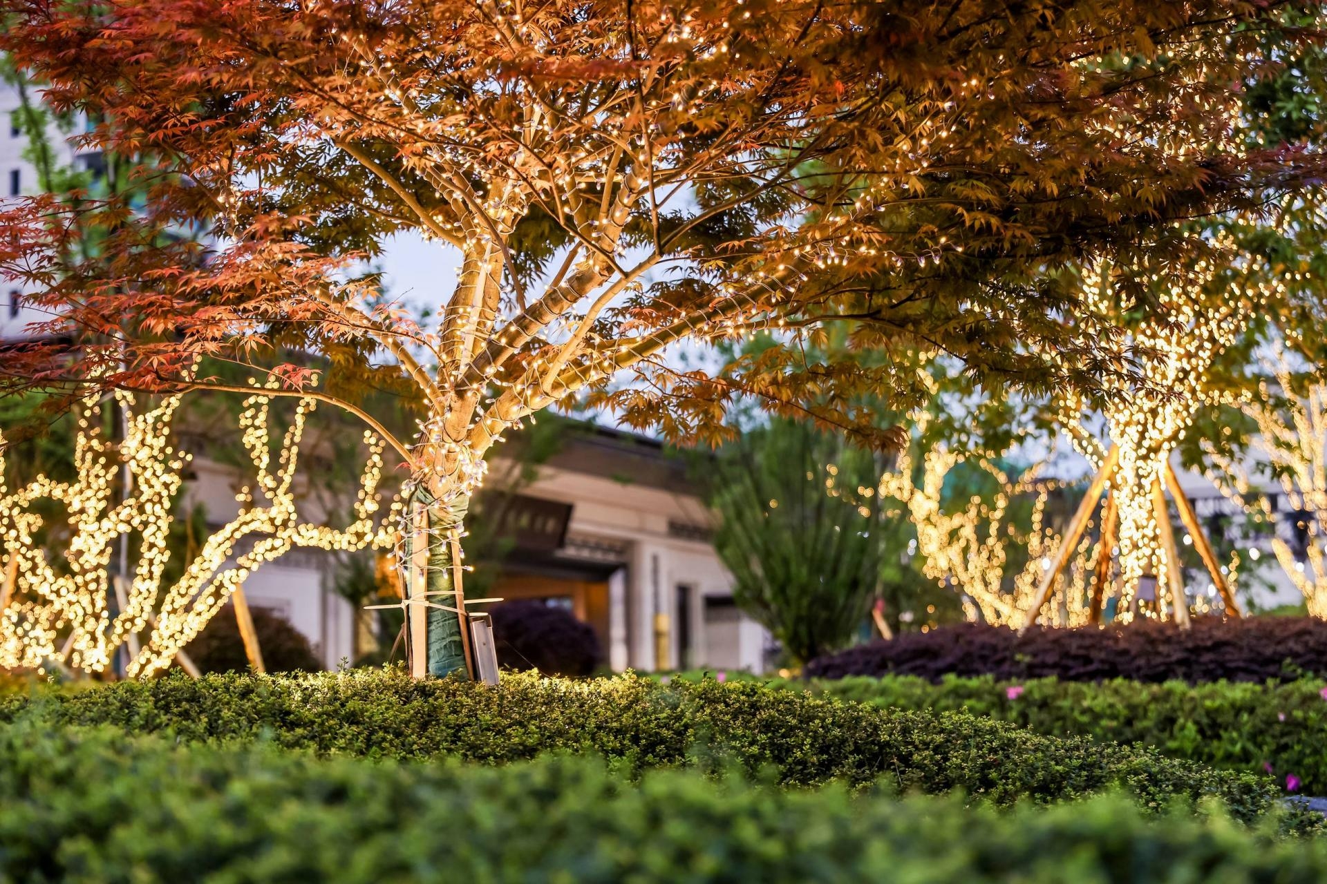 精品(pin)案例(li) | 峽穀(gu)景(jing)觀(guan) 詩(shī)(shi)意(yi)棲居(ju)·恆雅紫(zi)檯(tai)景觀(guan)賞析(xi)